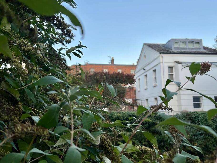 Vernon Place Town Centre, Vernon Cottage 3-Bed With Parking, 1A Vernon Court 2-Bed With Parking, 1B Studio No Parking, Off The High Street Next To Sandford Park เชลเทนแฮม ภายนอก รูปภาพ